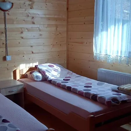 Wooden House Nada Zaovine